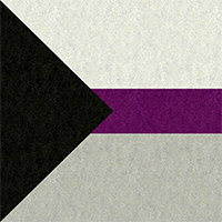 Large high-resolution Demisexual pride flag with faint light and dark highlights.