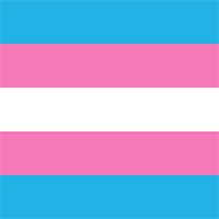 Large high-resolution Transgender pride flag seamless texture.