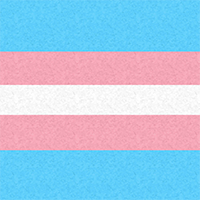 Large high-resolution Transgender pride flag with faint light and dark highlights.