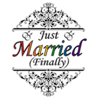 Just Married Finally, gay pride, rainbow text with black and white elemental flourishes.