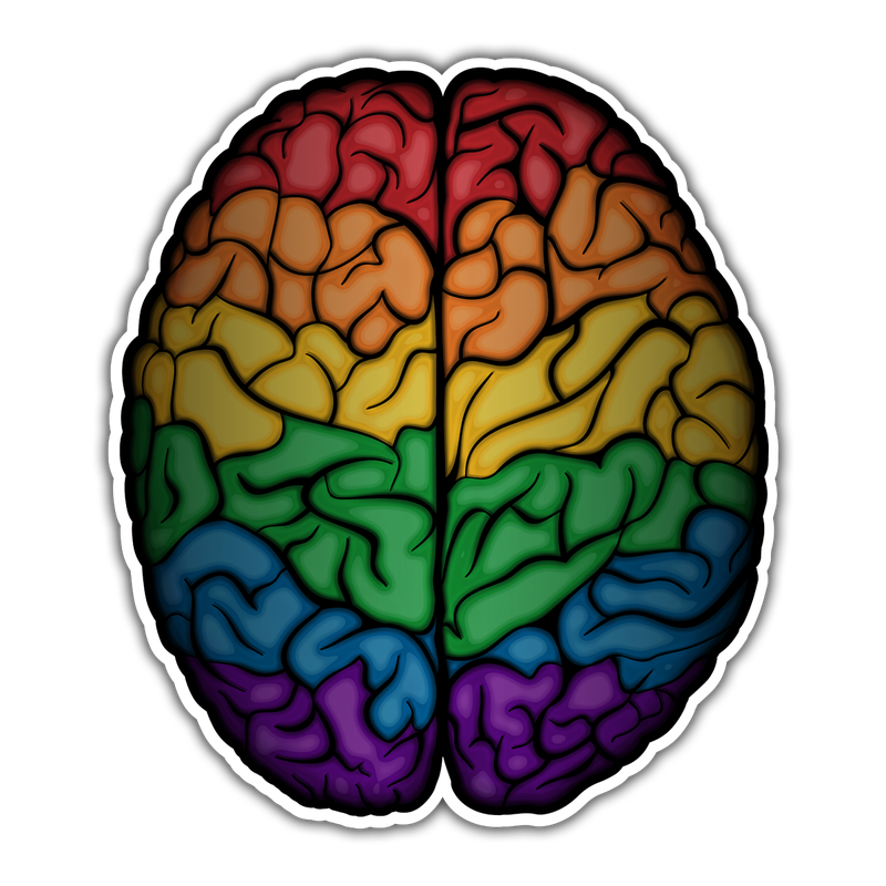Large realistic brain filled with the colors of the LGBTQ rainbow pride flag.